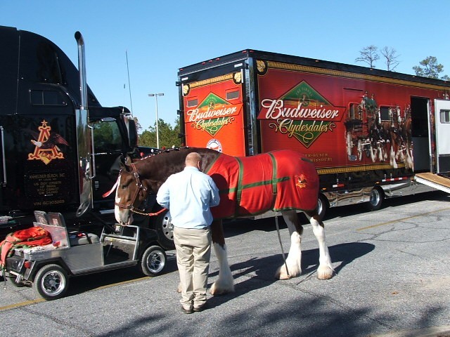 Budweiser nadal sponsorem Mundialu