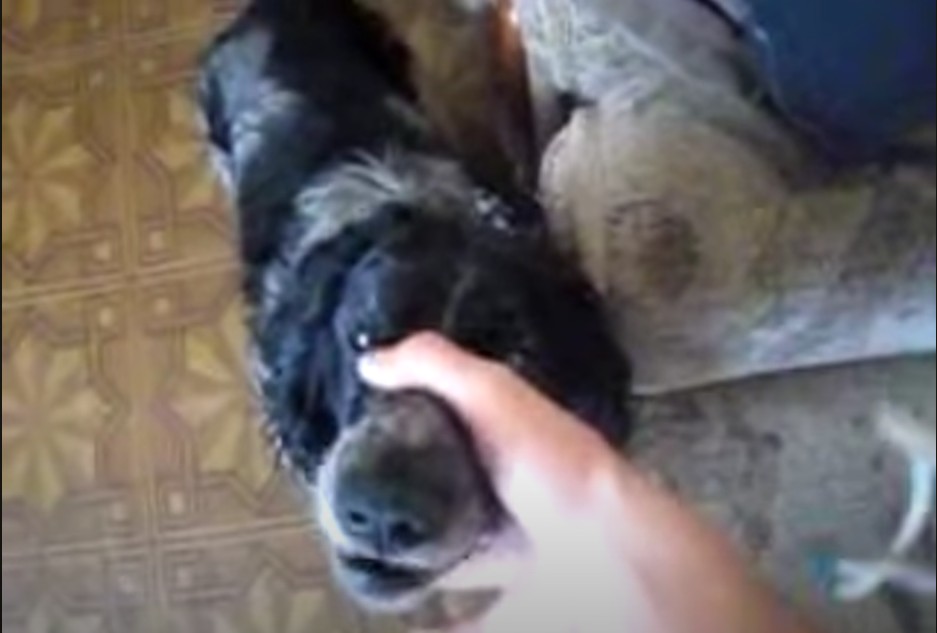 Odra Opole wywołała swoim wpisem skandal po meczu z Wisłą Kraków