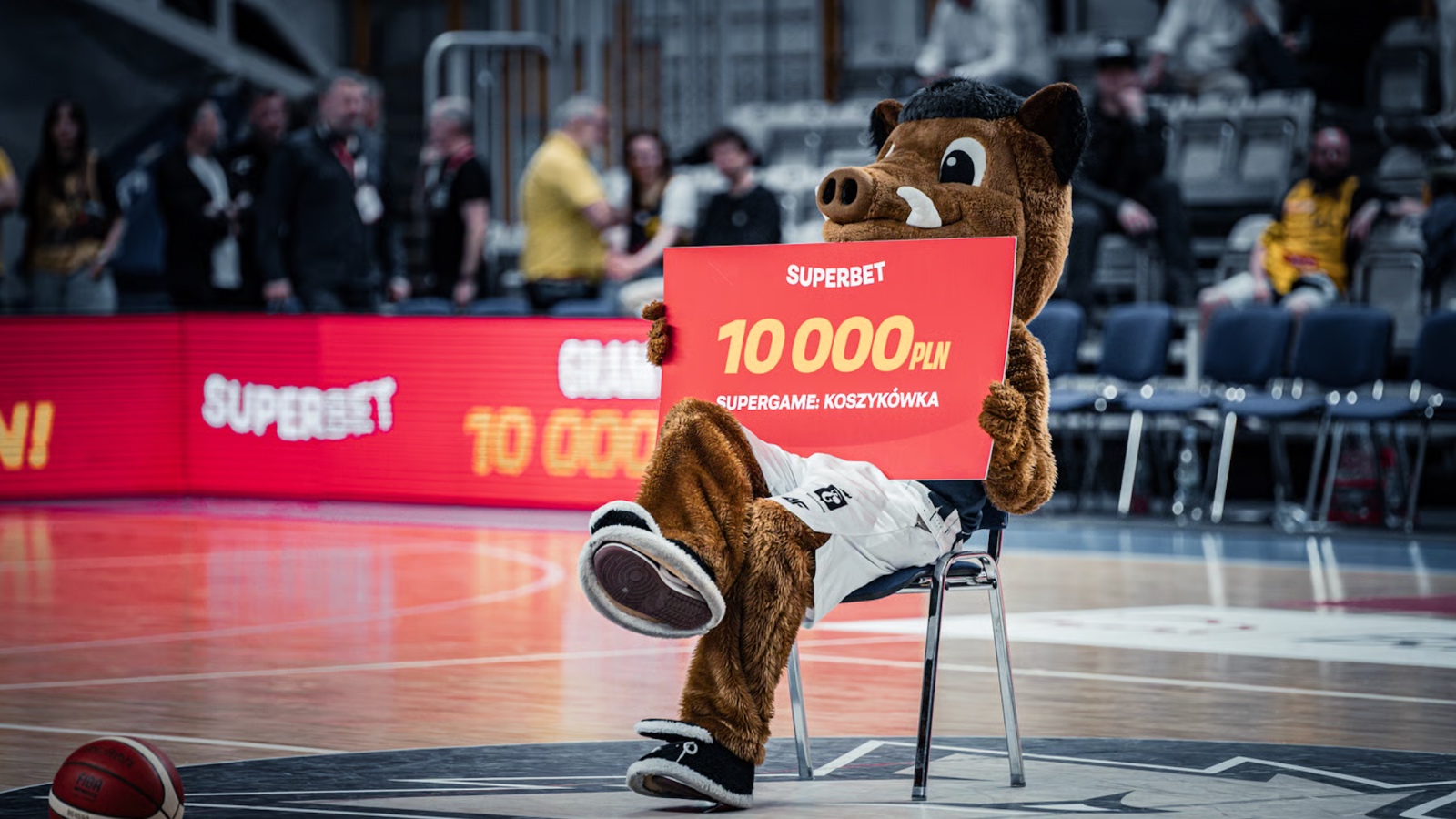Superbet gra dalej z Dzikami Warszawa