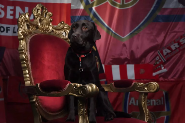 Win, czyli pies, który znowu towarzyszy Arsenalowi i… przyczynił się do sukcesów